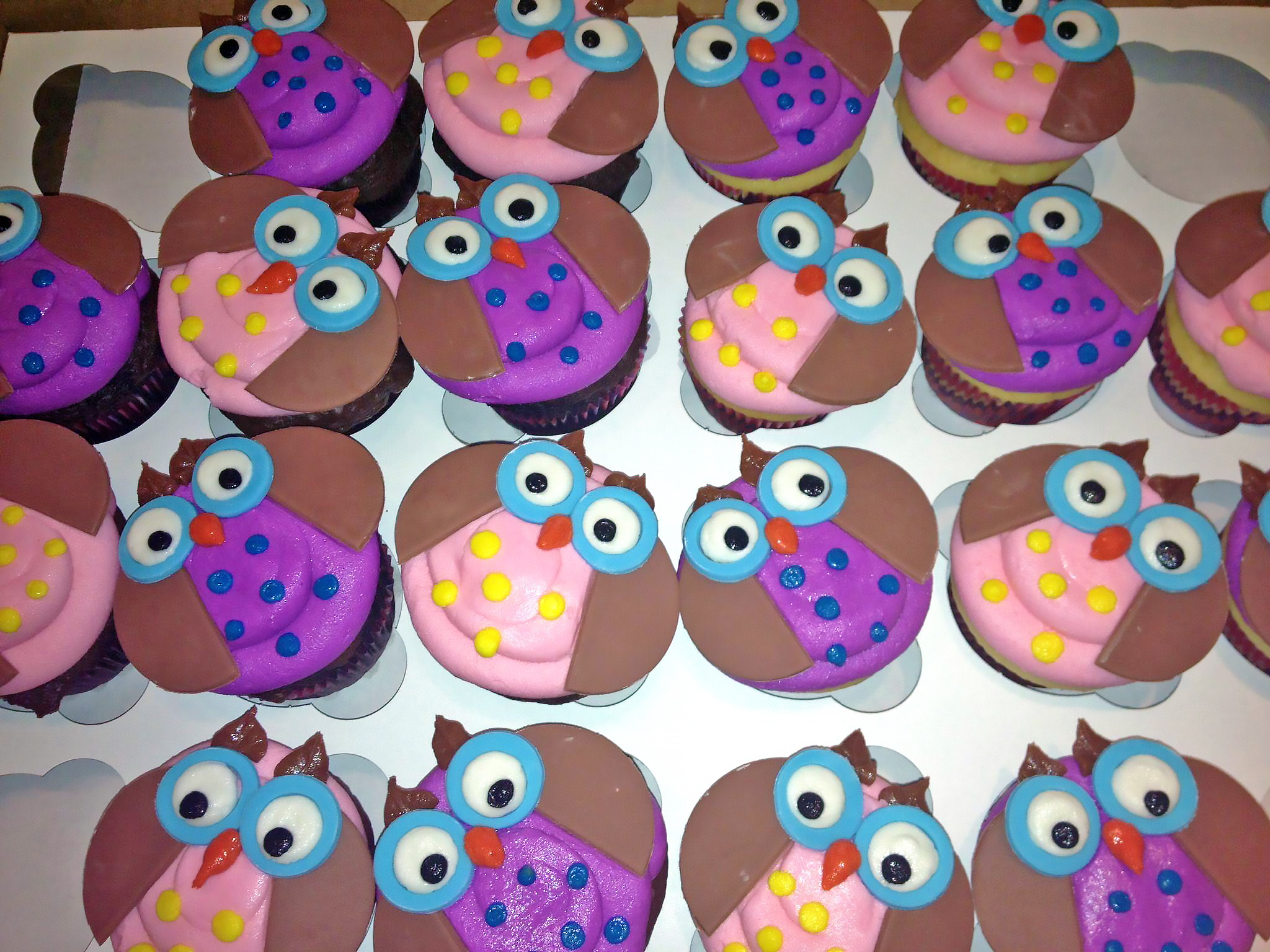 Cupcakes, Owl